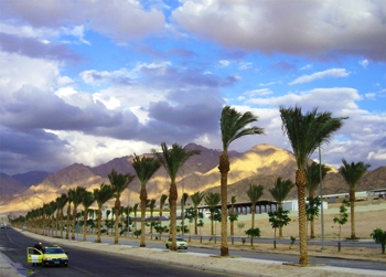 This photo of a palm tree-lined avenue in Aqaba, Jordan was taken by photographer Leila Haj-Hassan of Amman, Jordan.